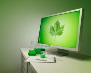 naturaleza
